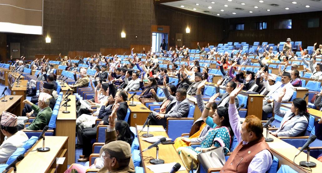 प्रतिनिधिसभाबाट ‘भन्सार विधेयक २०८१’ बहुमतले पारित