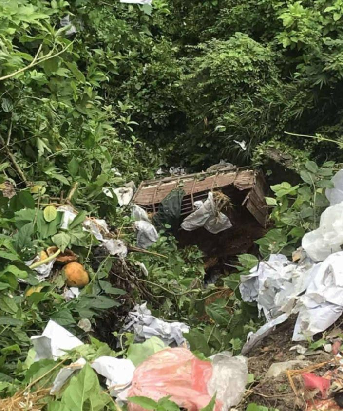 सिमलतालबाट मिनी ट्रक त्रिशूली नदी किनारमा खस्दा दुई घाइते