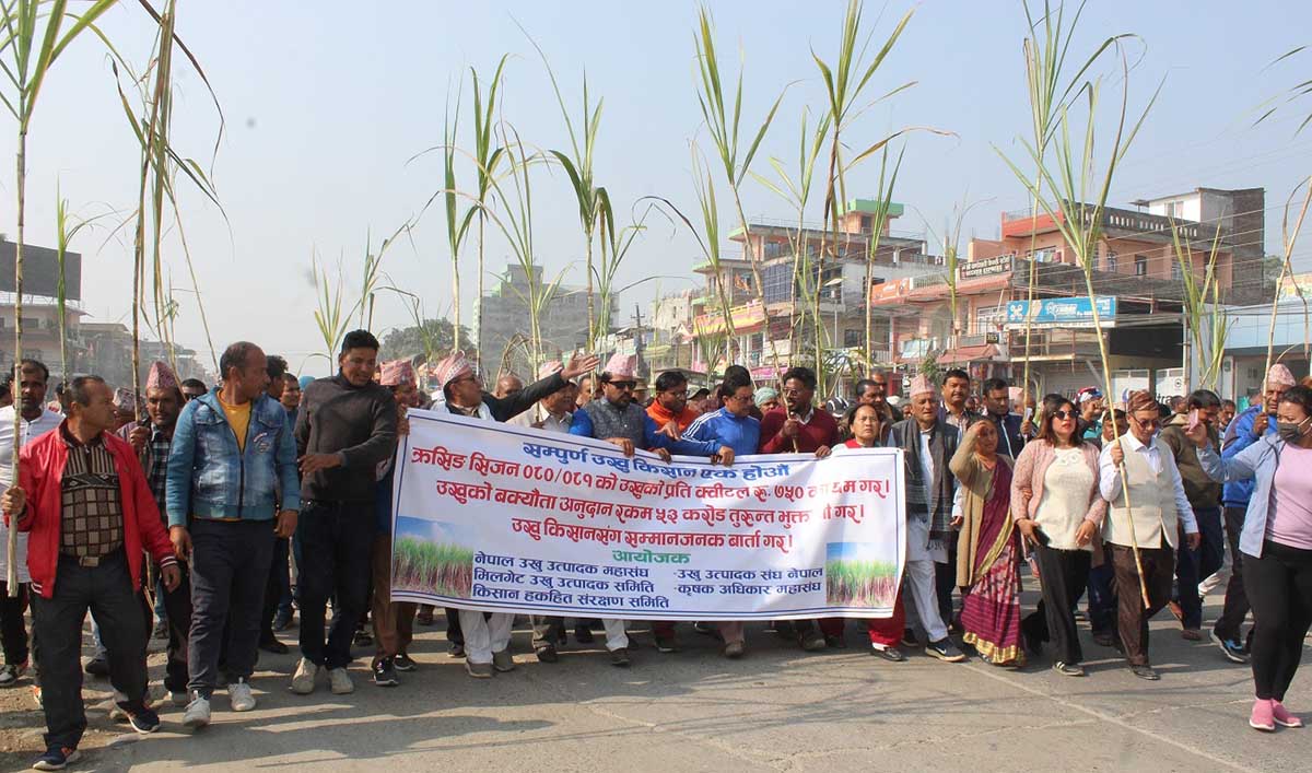 उखुको मूल्य बढाउनु पर्ने माग सहित लाँक्रा बोकेर किसान सडकमा
