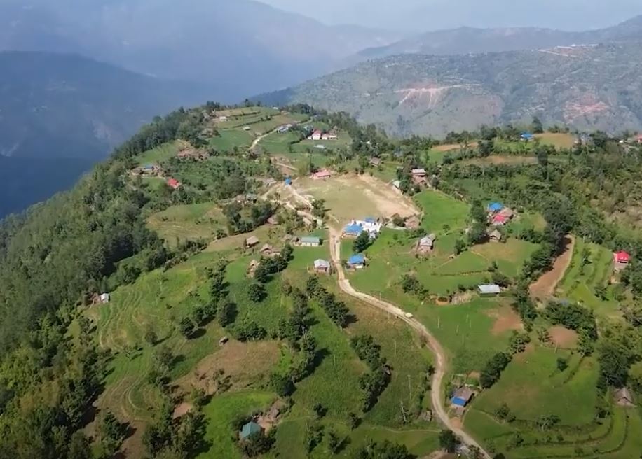 कफी खेतीमा भोजपुरका किसानको आकर्षण